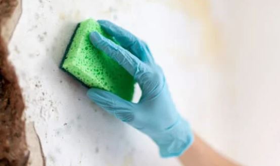 Cómo limpiar paredes antes de pintar