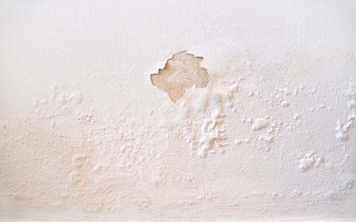 Formas de desgaste de pintura en paredes